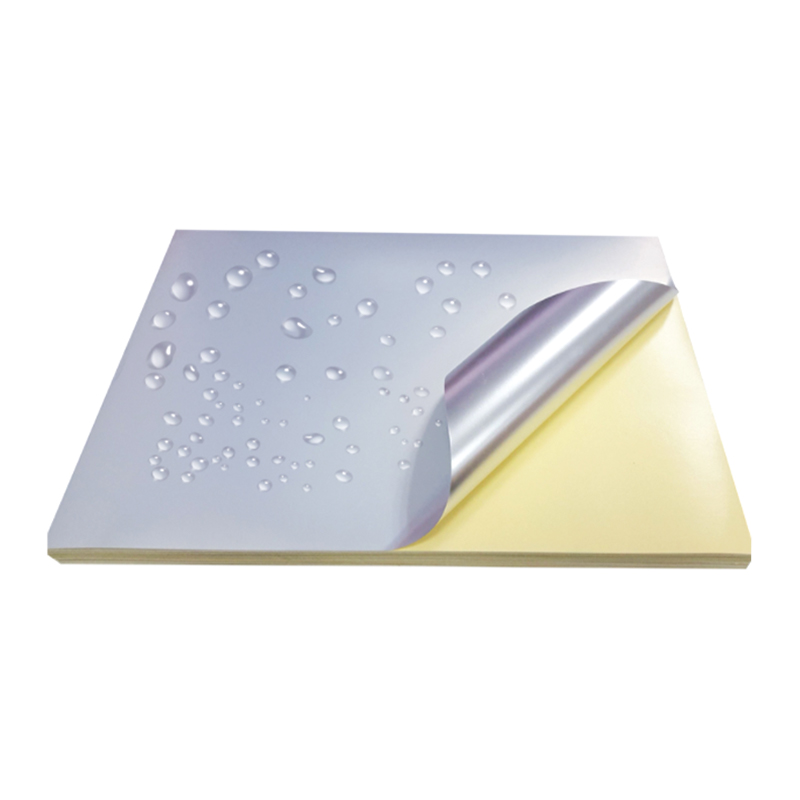 50 um matt ezüst kisállatfólia sárga szilikon béléssel